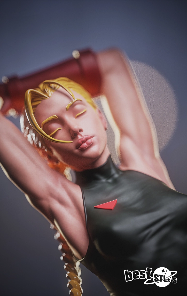Cammy White NSFW STL