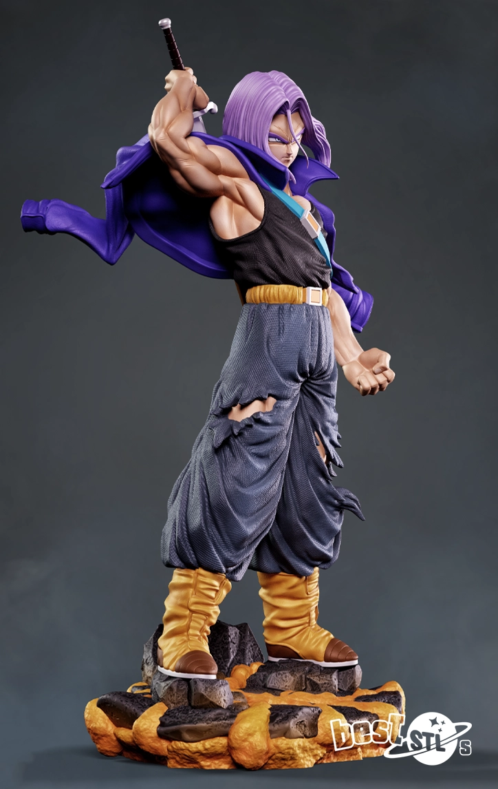 Trunks STL 3D Print Model